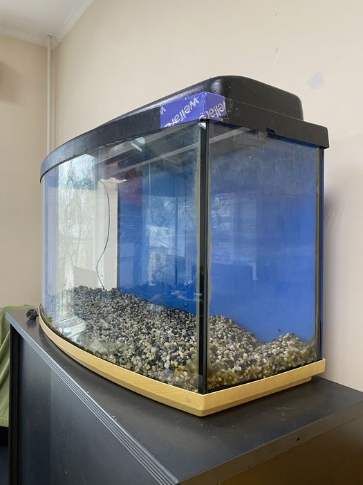 Аквариум 200 литров