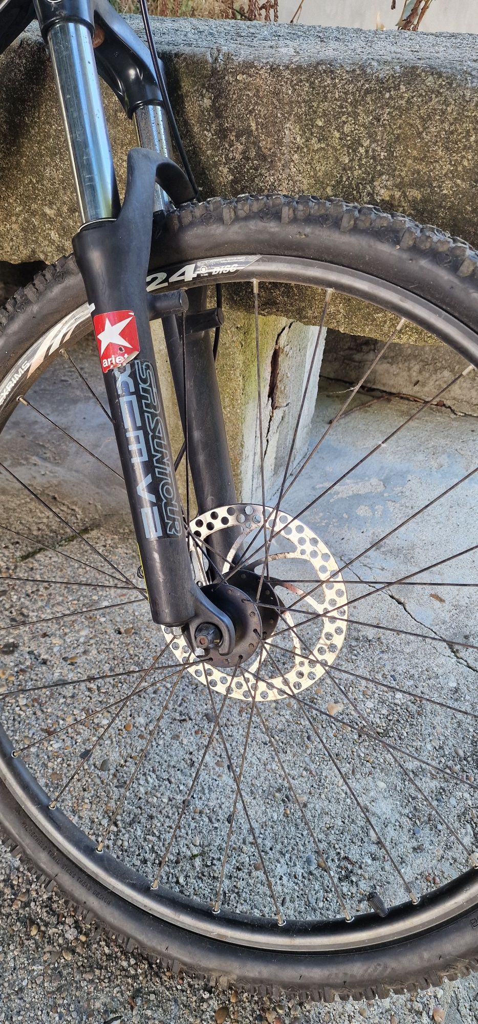 Bicicleta  DS 24