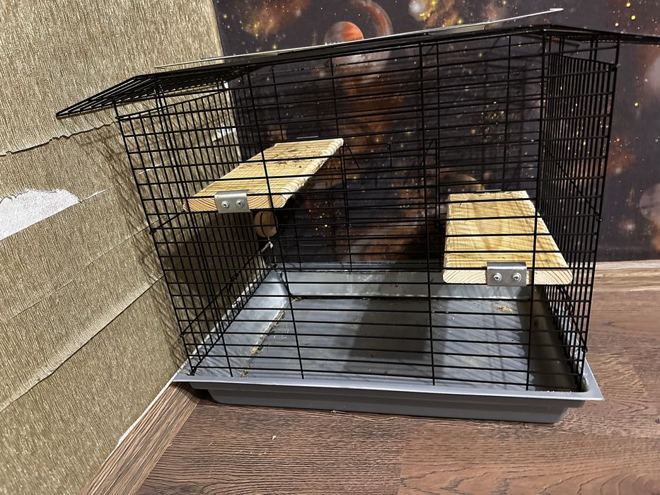 Клітка для тваринки
