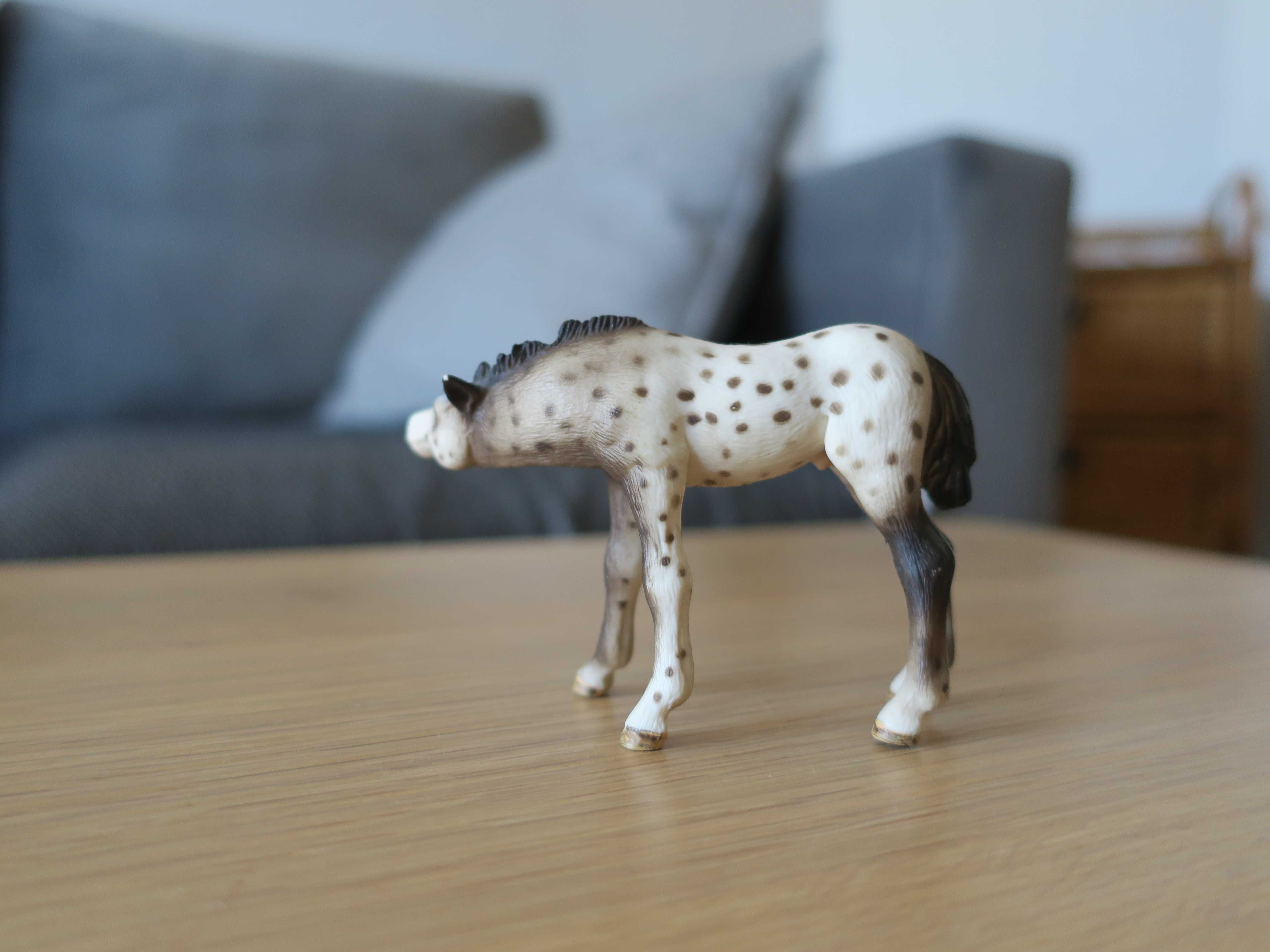 Źrebak knabstrupper Schleich