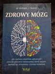 Zdrowy mózg William J. Walsh