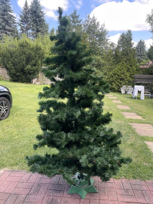 Choinka zielona 220 cm