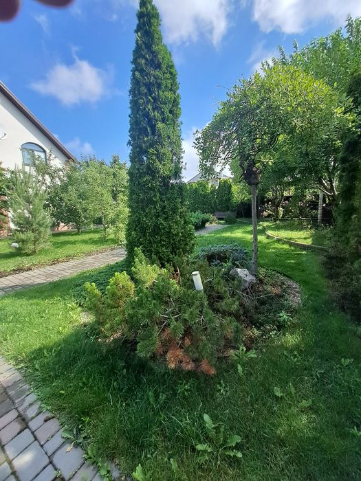 Оренда будинку з басейном новобудова