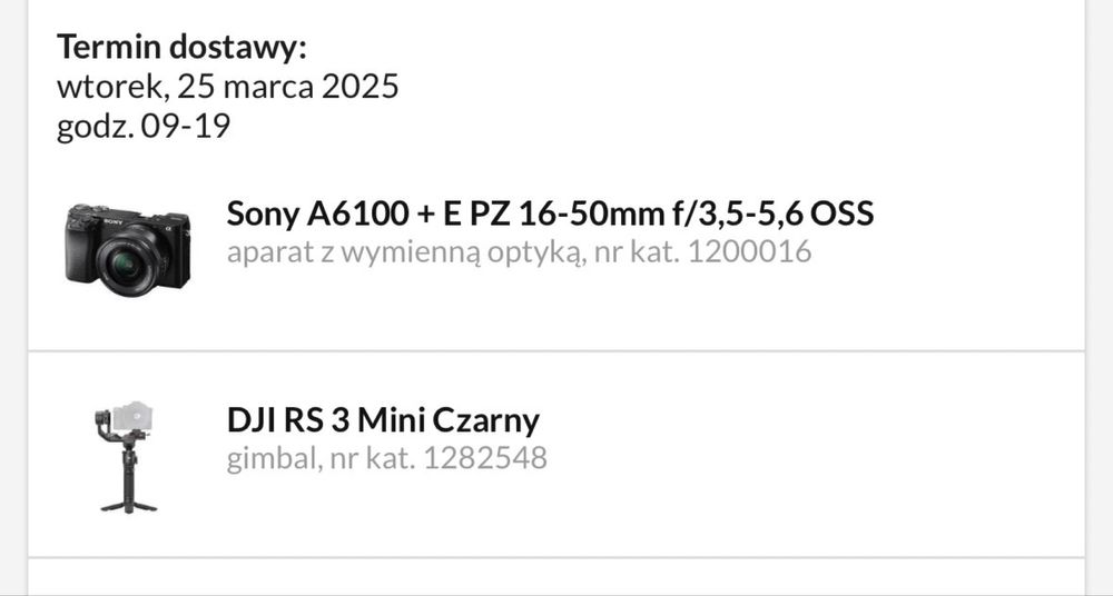 Sony A6100 + E PZ 16-50mm f/3,5-5,6 OSS + DJI RS3 mini [GWARANCJA]