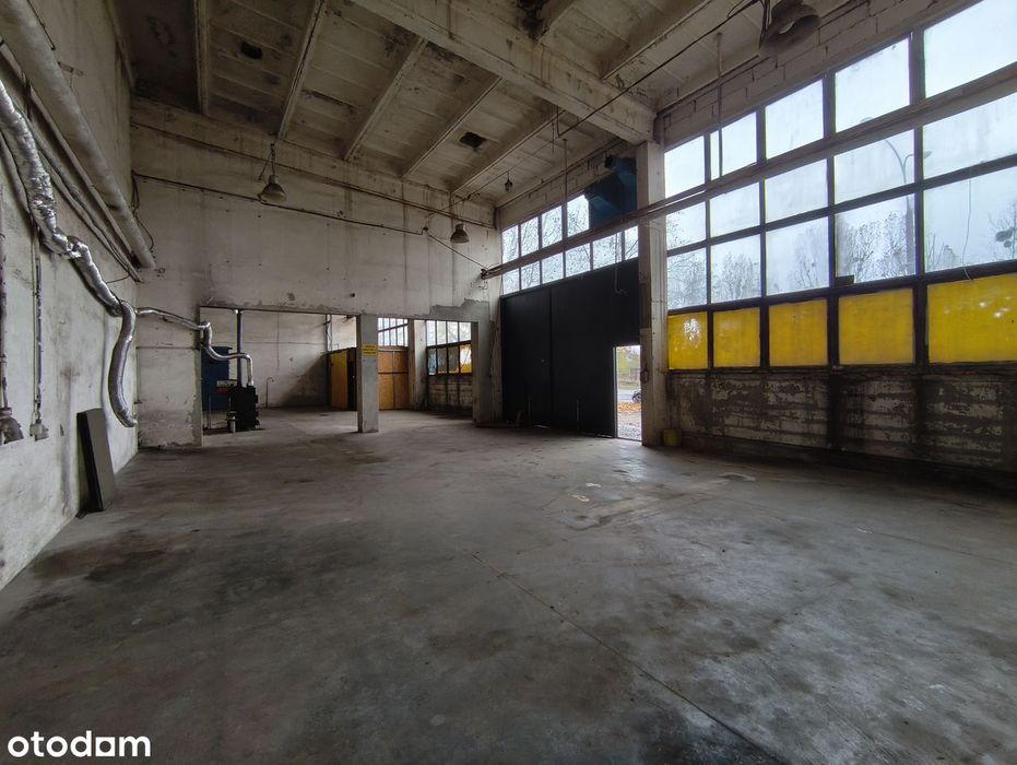 Hala 227 m2, blisko urzędu celnego, lotniska Ławica, trasy S11