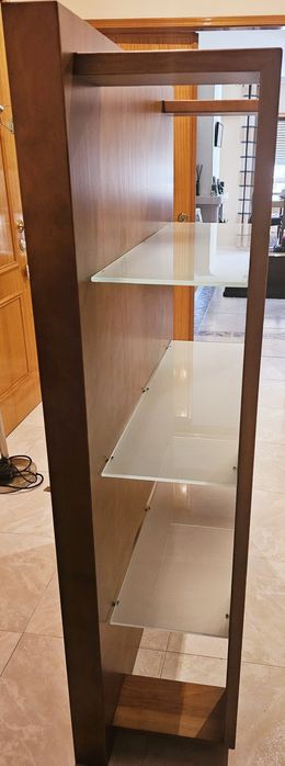 Estante elegante de vidro e madeira nova