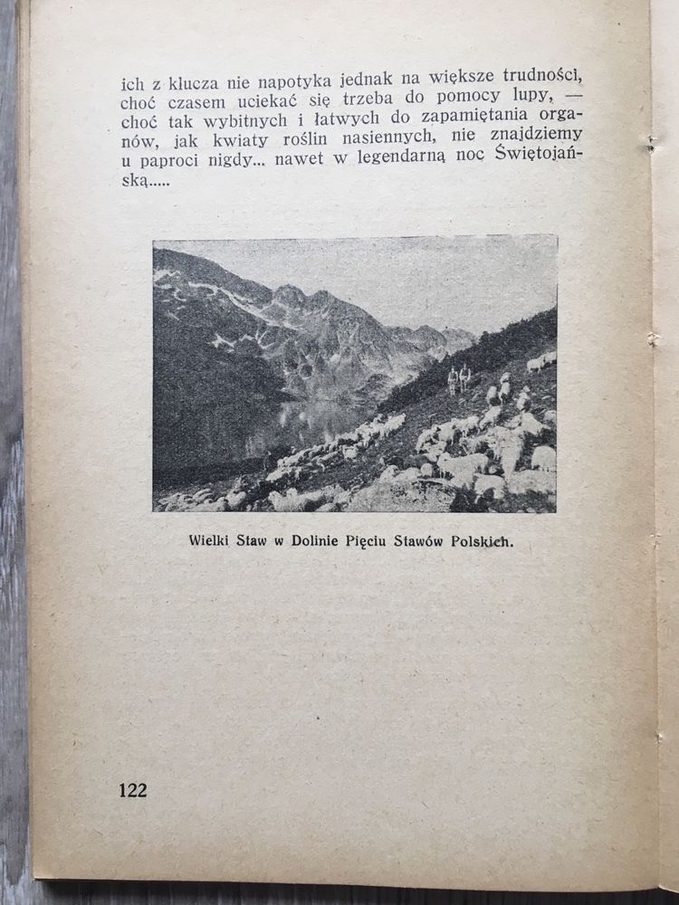 Ze świata roślinności tatrzańskiej Kulesza 1927 botanika dendrologia