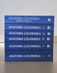 Anatomia Bochenek t 1-5 + repetytorium