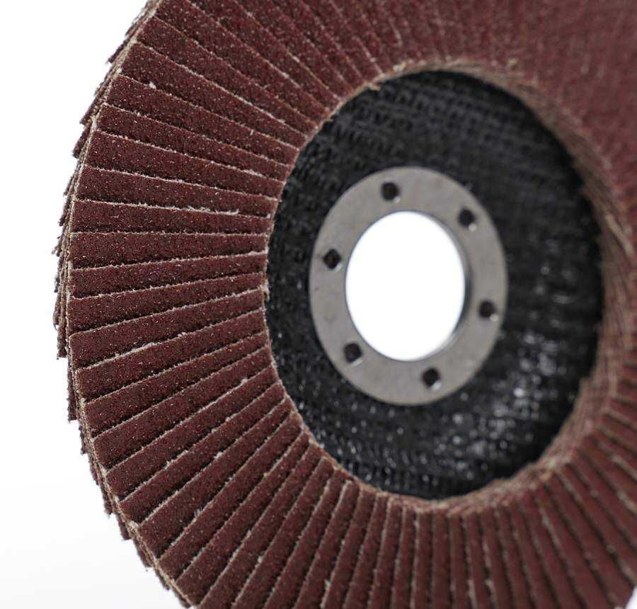 Tarcza listkowa 5szt do szlifowania lamelka 125mm/22,23mm szlif P60