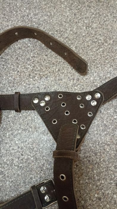 Шлейка  на собаку,продам Шлейку на велику собаку кожана, в гарному ста