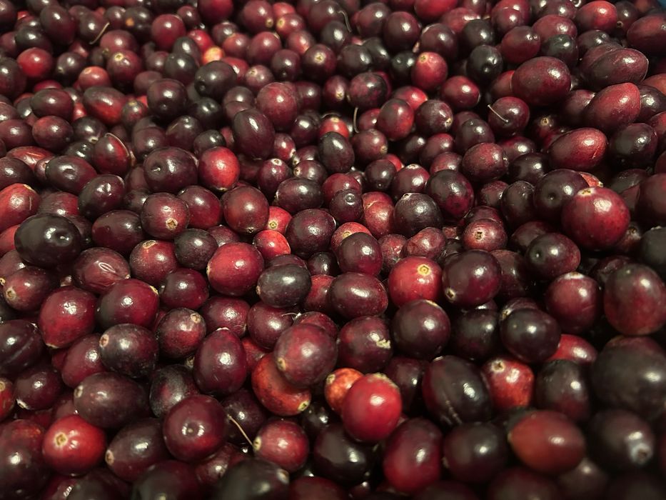 3 kg swieza zurawina