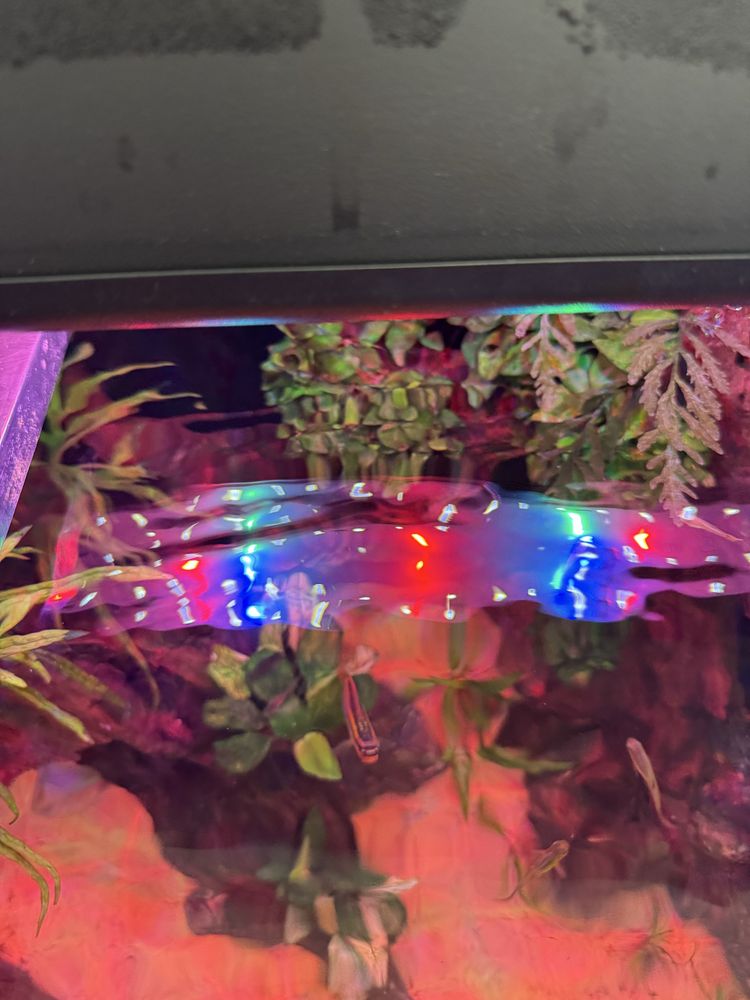 Juwel Helialux spectrum 800