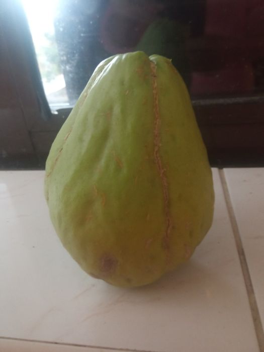 Chuchus Frescos, Saborosos e 100% Naturais!