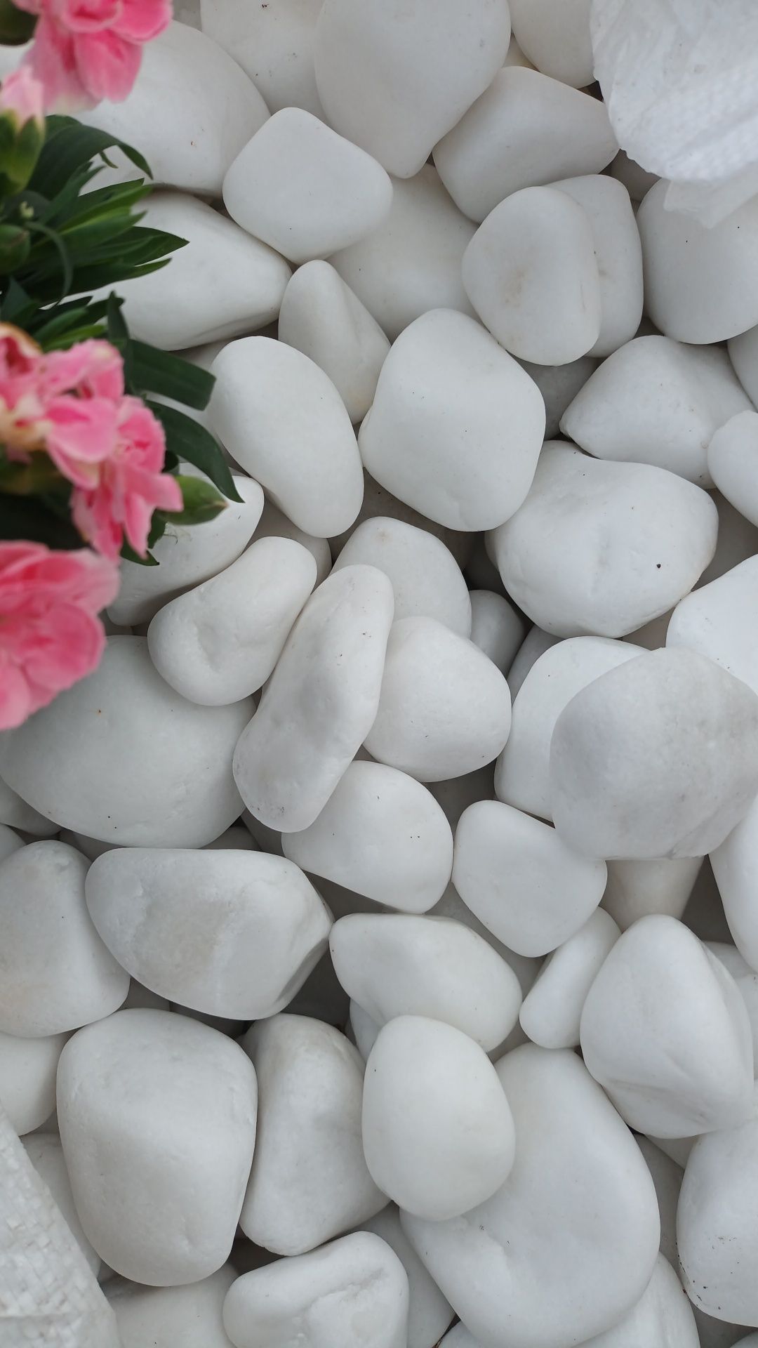 Otoczak grecki thassos śnieżnobiały kamień do ogrodu