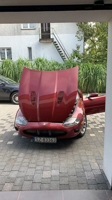 Jaguar XK Jaguar XKR 4,2 (396KM) - wyjątkowa wersja w jednych rękach od 20lat
