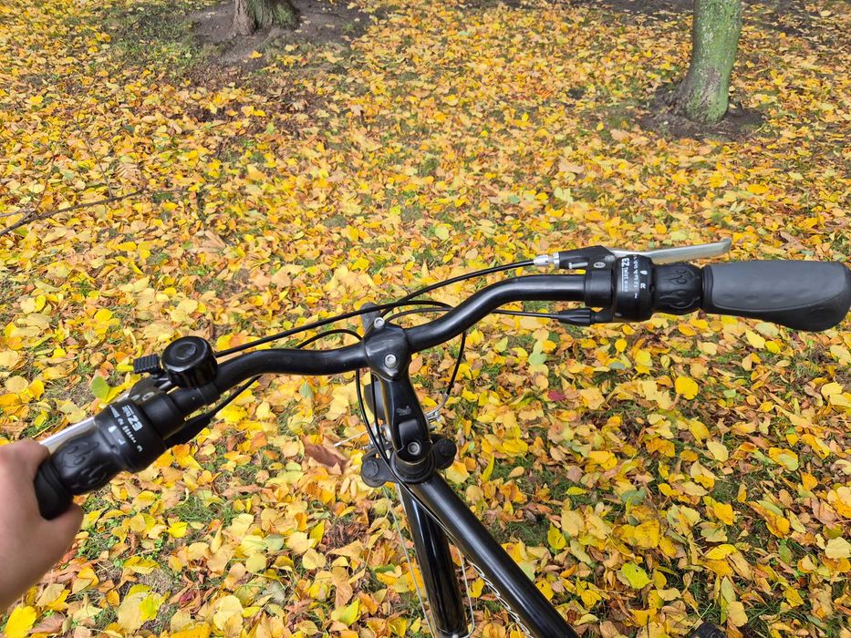 Rower męski trekkingowy Prophete