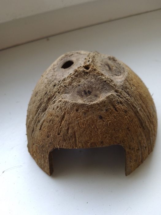 Кокосова шкаралупа