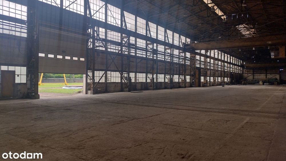 Hala produkcyjno/magazynowa na wynajem lub sprzedaż