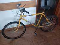 Bicicleta vintage Suiça