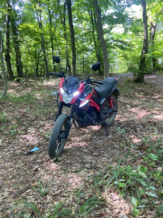 Хороший стан моцика