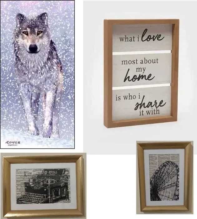 Colecção de 12 Quadros