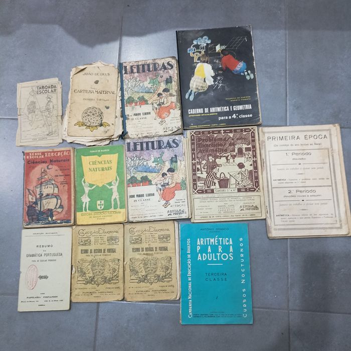 Lote de livros escolares e outros