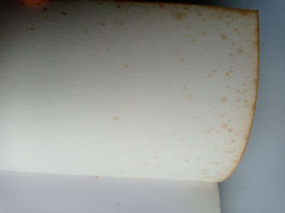 Toutes les pêches du brochet - Bernard Breton, Tajana et Régis Gérard