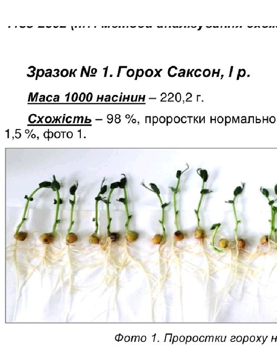 посівний горох ф1