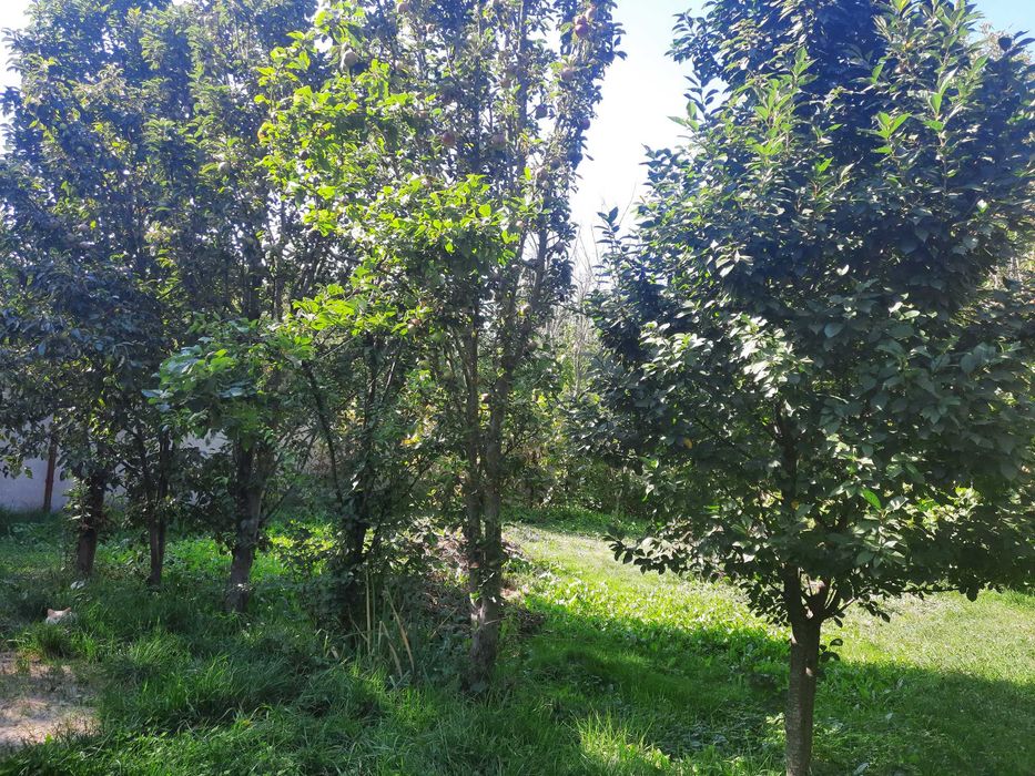 Продаж частини будинку з окремим двором,землею та зручностями.