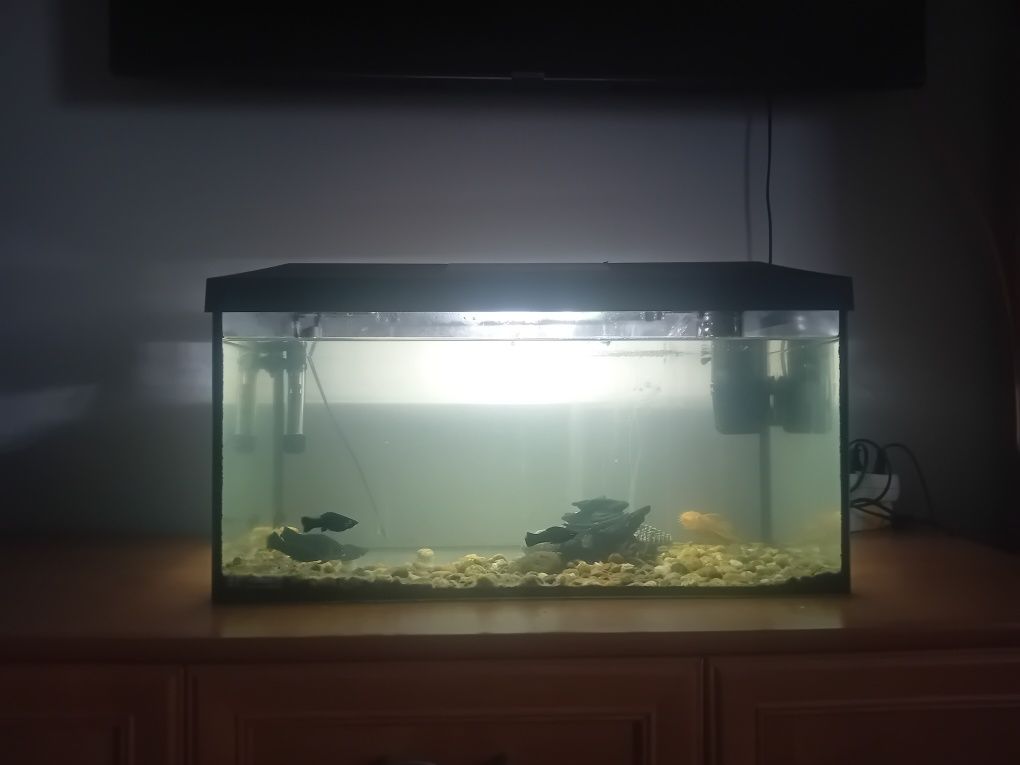 Sprzedam akwarium 54l