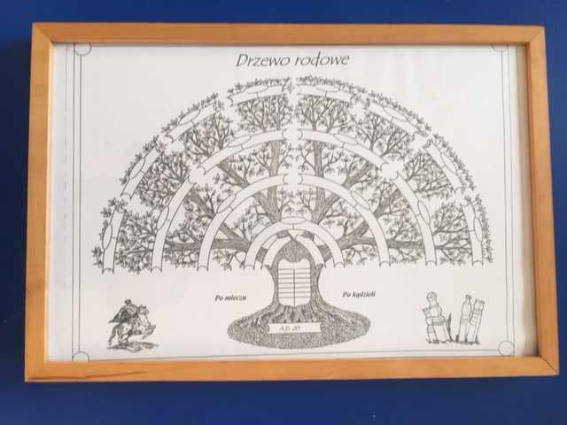 Drzewo genealogiczne w ramie