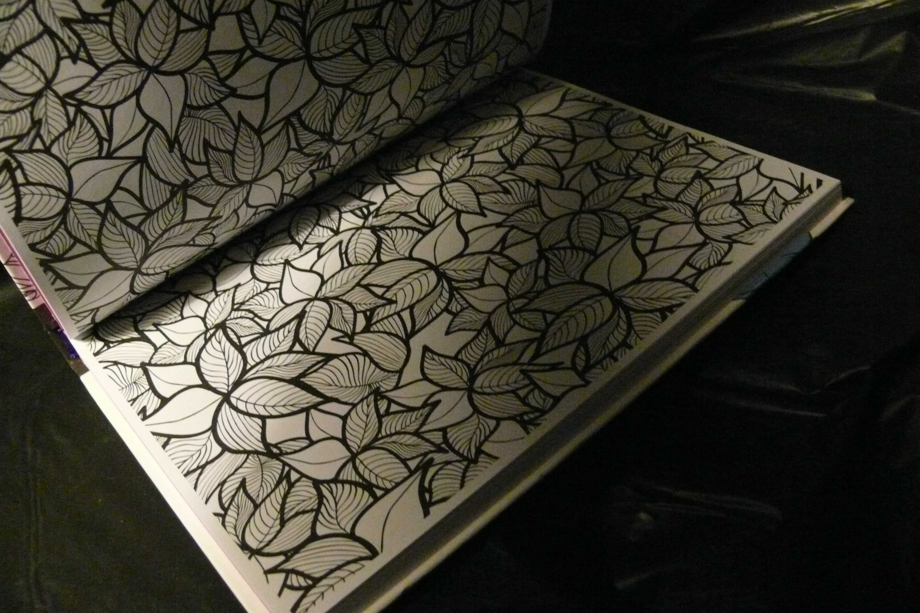 Mandalas e Outros Desenhos da Selva para Colorir