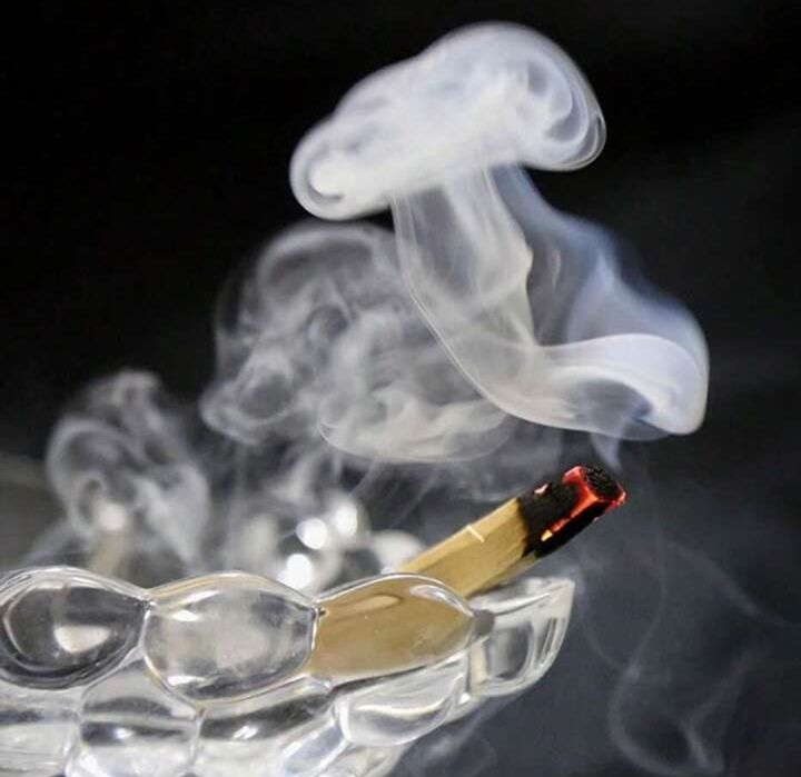 Pau Santo - Palitos para defumar