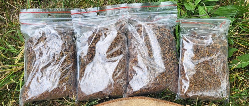 Kit Pszczeli 100 gram