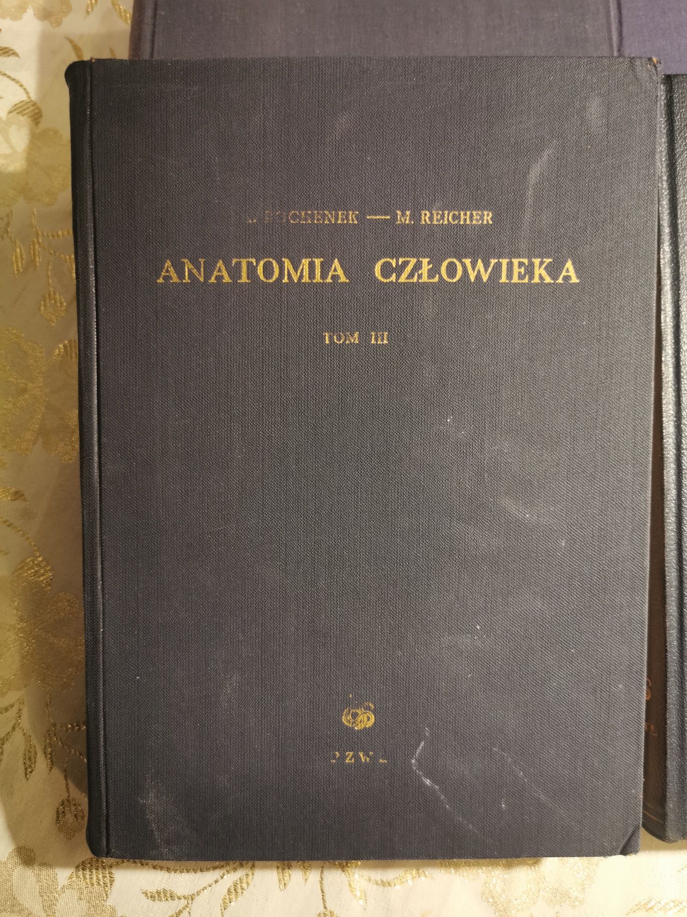 anatomia człowieka Bochenek reicher 1952