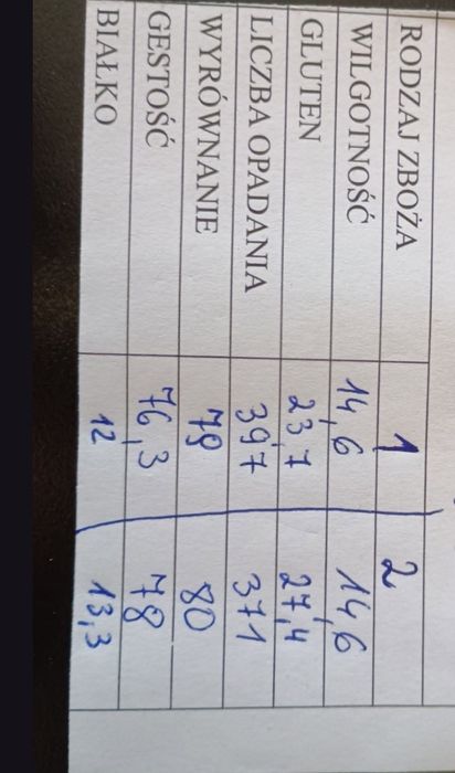 Pszennica ozima, zboże, ziarno