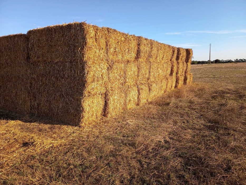 Fardos de Feno (aprox. 280kg)