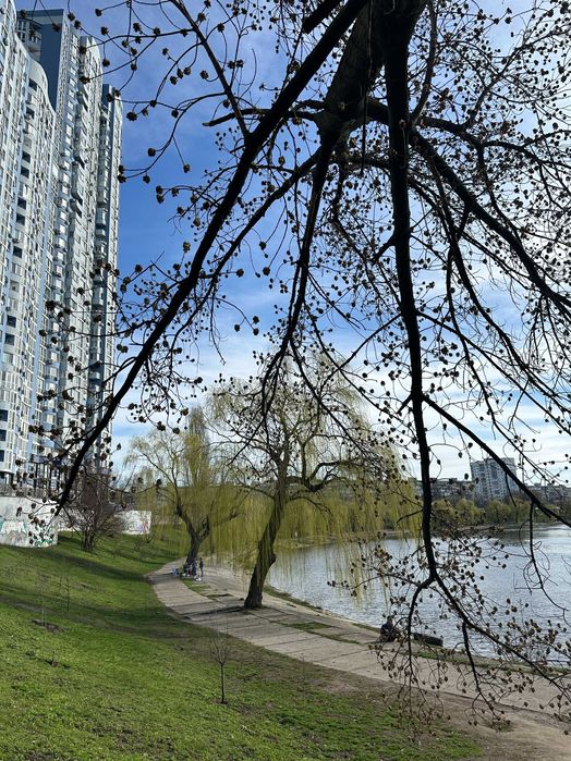 Оренда офіса 76,6 кв.м. 598 грн, від власника, Лівий берег