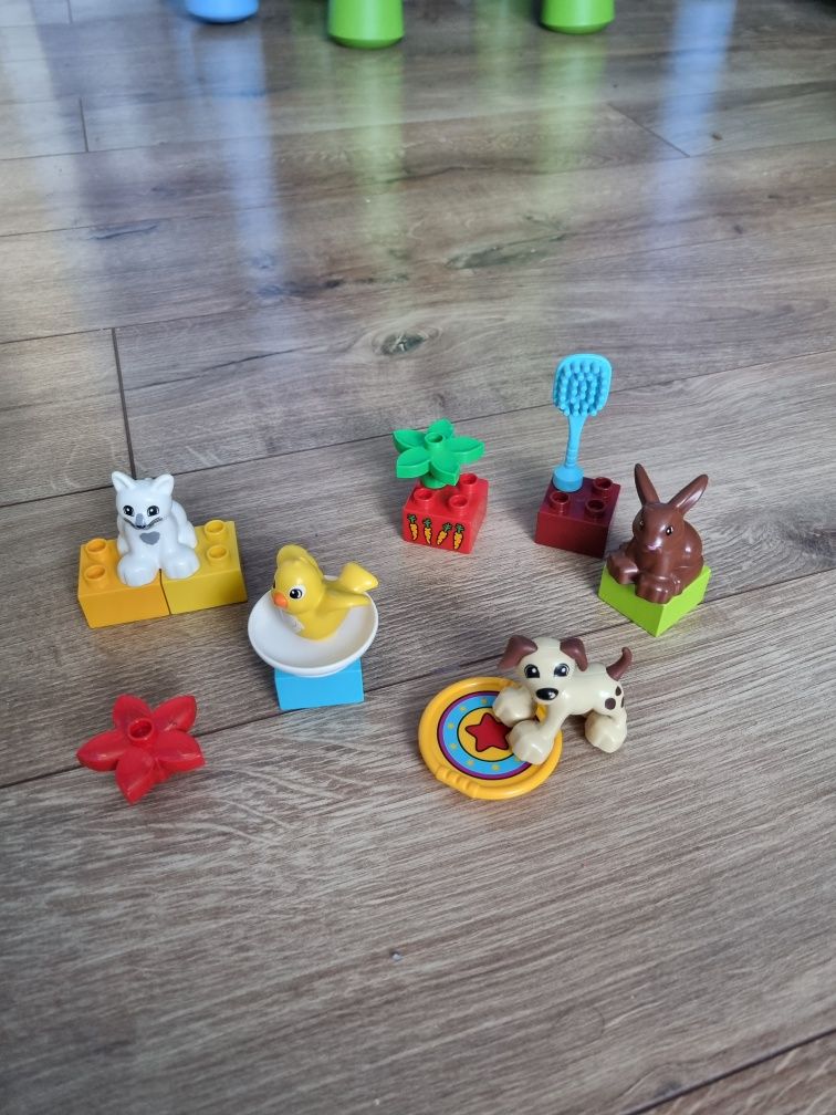 Lego Duplo, zwierzęta domowe + zoo