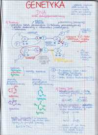 NOTATKI MATURALNE Z BIOLOGII cz. 4 (4-letnie liceum)