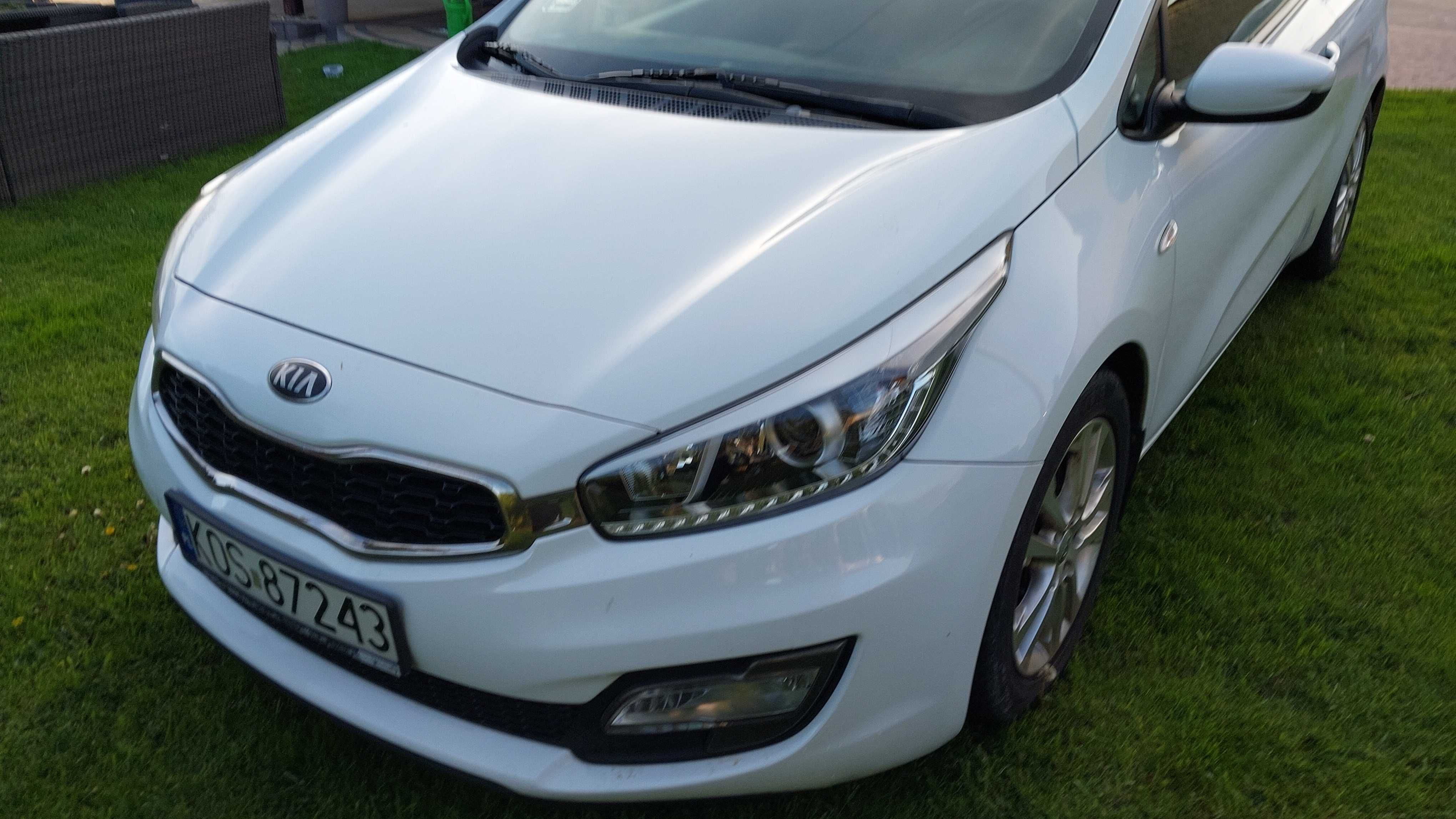 Kia Pro cee'd 1.6 CRDI M hatchback 2013r. Salon Polska