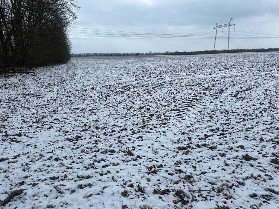 Продається земельна ділянка в Горбанівці