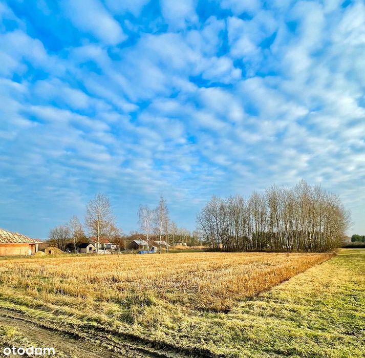 Działka budowlana 56 ar, Wola Baranowska – MPZP, media, las na działce