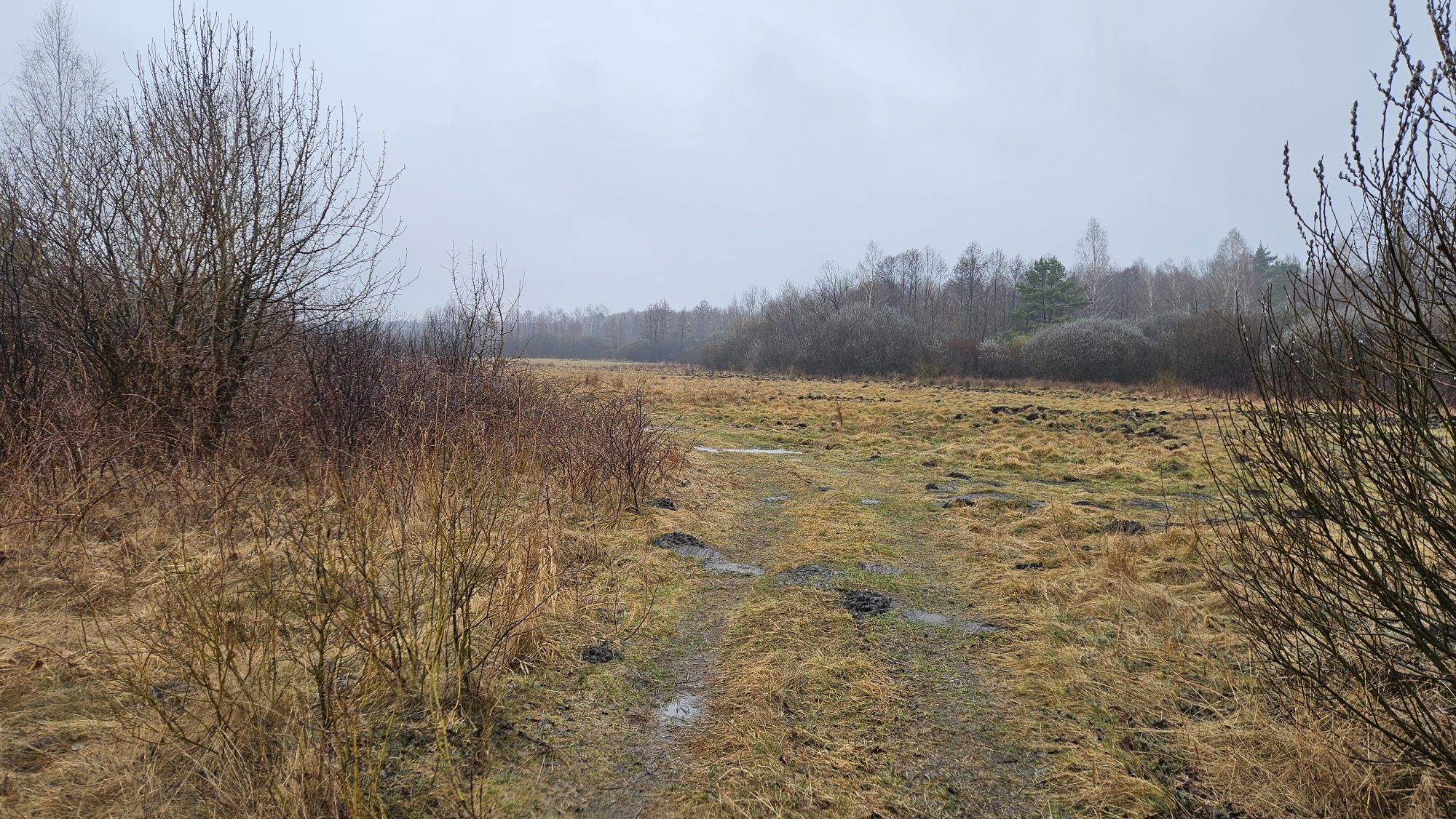 Działka Szczerców Podklucze 2769m WNIOSEK WZ