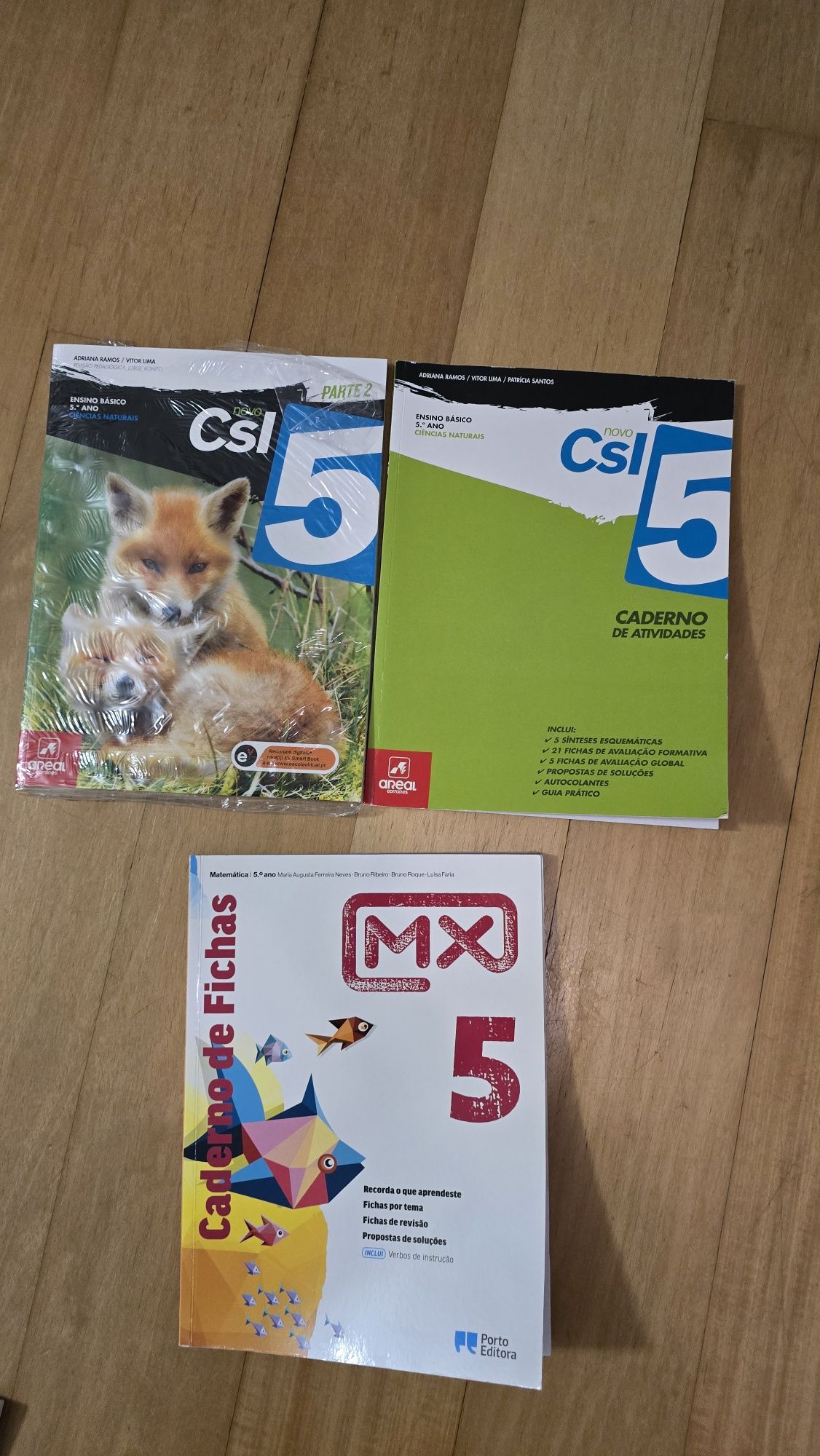 Livros escolares do 4o ao 7o ano