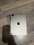 Ipad Pro 11 2 gen 256gb