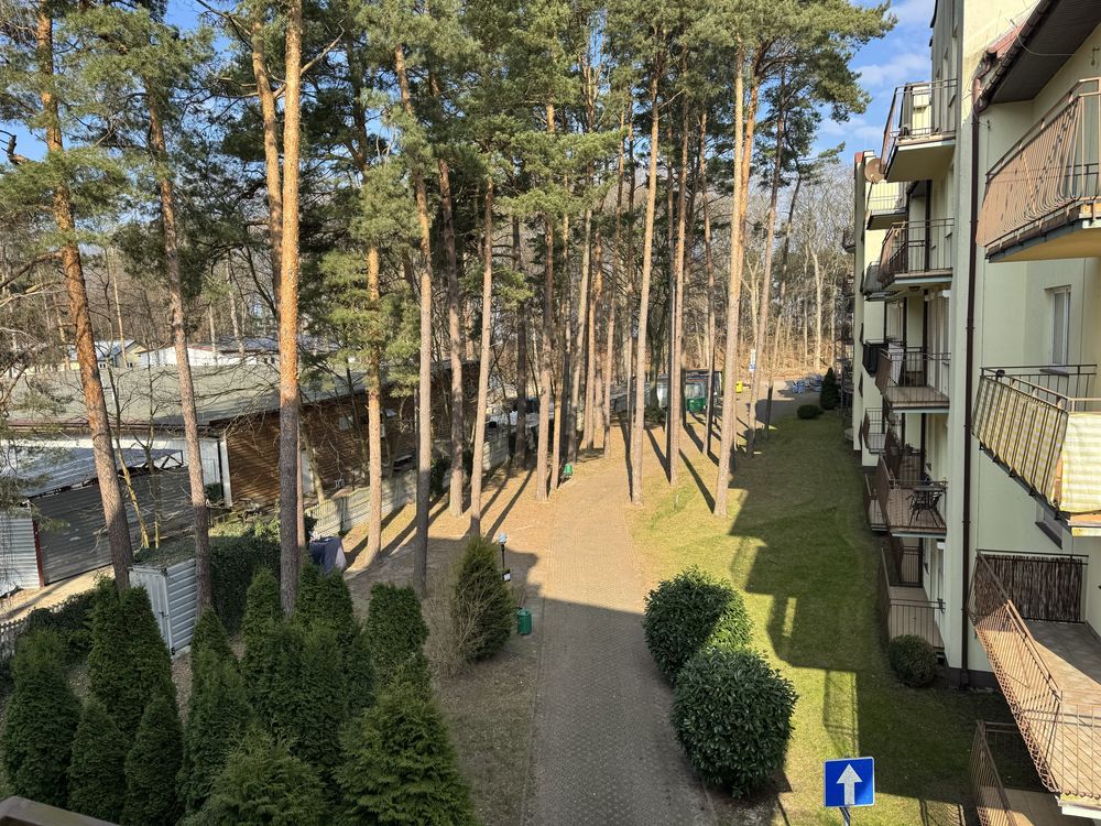 Apartament z cudownym widokiem na las