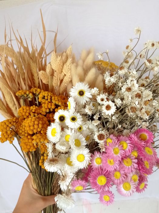 Suszone kwiaty i trawy