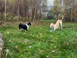Willa w Brzozach, Dom na odludziu 8 os ,Sznurki, Chmielno, Kaszuby,