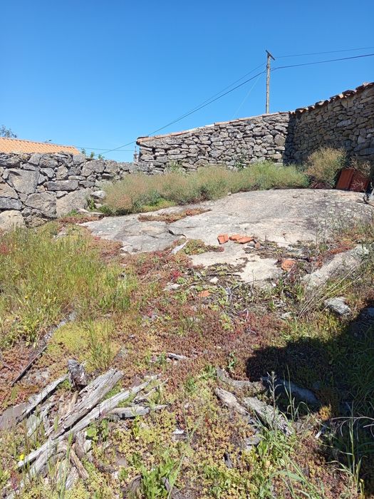 Vendo uma ruína em estevais da Vilariça